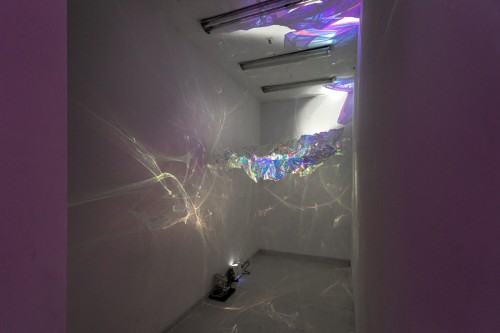 fot. Michał Pietrzak