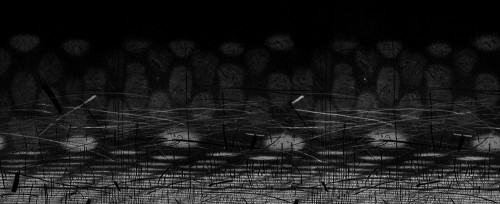 Agata Gertchen Agata Gertchen, 'Harmonia' linoryt 70x170 cm, 2011