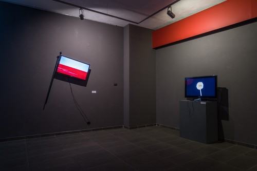 fot. Michał Pietrzak
