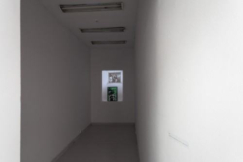 fot. Michał Pietrzak