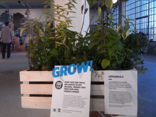 łódź design szkło bar