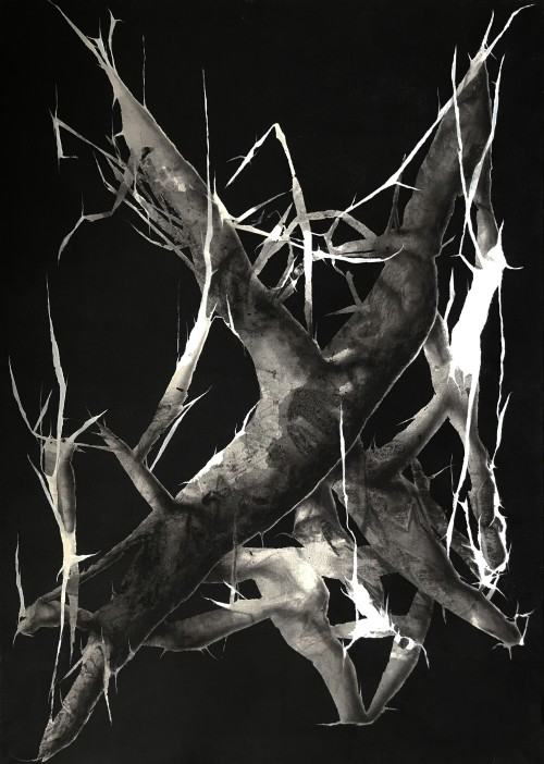 70265612.jpeg Łukasz Huculak, Cordyceps