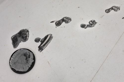 fot. Michał Pietrzak