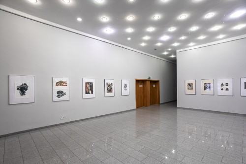 fot. Michał Pietrzak