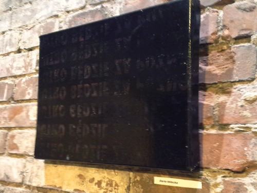 SCENA SZTUKI INTERMEDIALNEJ / PODWODNY WROCŁAW 2020