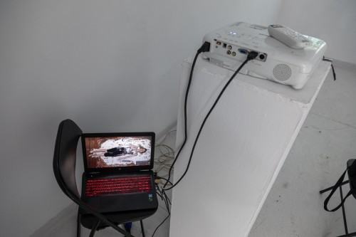 fot. Michał Pietrzak