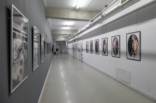 fot. Michał Pietrzak