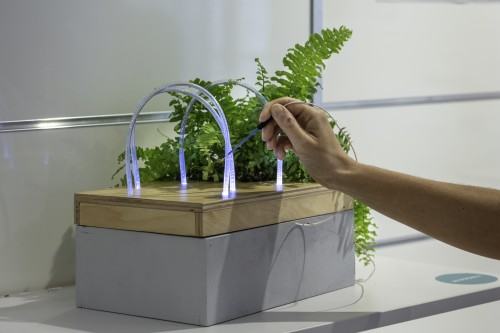 FASOLA SI DO, Marta Kluba