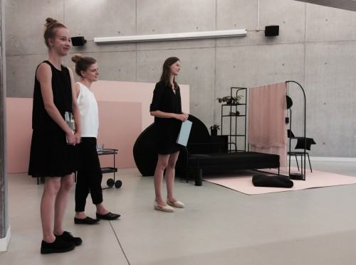 Maja Górowska, Karolina Koryniowska, Kamila Potocka “Projekt mebli przeznaczonych do jednoprzestrzennych wnętrz mieszkalnych umożliwiających formowanie zestawów spełniających potrzeby jednego użytkownika, pary użytkowników, mieszkańców hostelu".