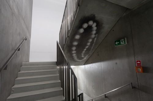 fot. Michał Pietrzak