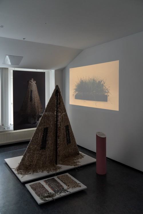 24_foto: źródło ACD, Karol Janiak