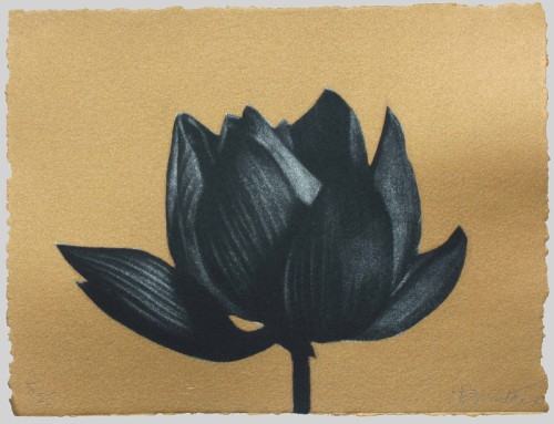 BIG PRINT/Small Print