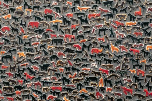 fot. Michał Pietrzak