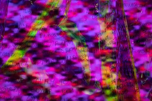 fot. Michał Pietrzak