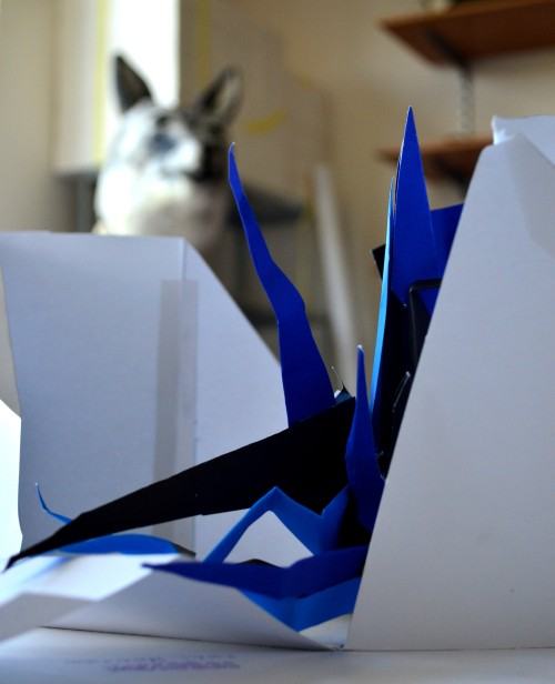 Katedra Scenografii Rekrustacja 2013