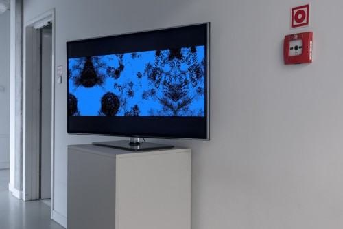 fot. Michał Pietrzak