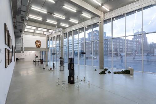 fot. Michał Pietrzak