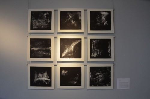 wystawa studentów Erasmus 2014 fot. Alek Figura