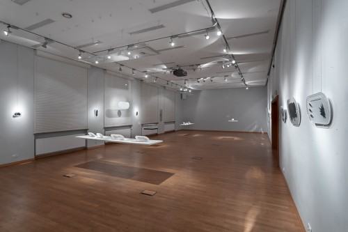 fot. Michał Pietrzak