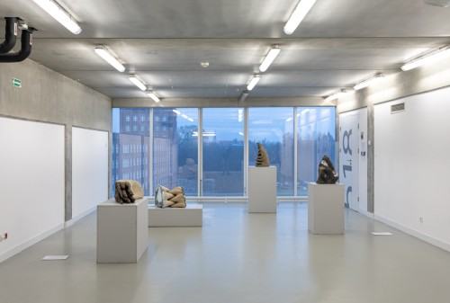 fot. Michał Pietrzak