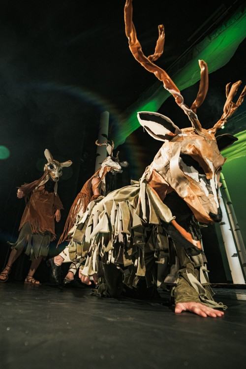 zdjęcia: Piotr Nykowski