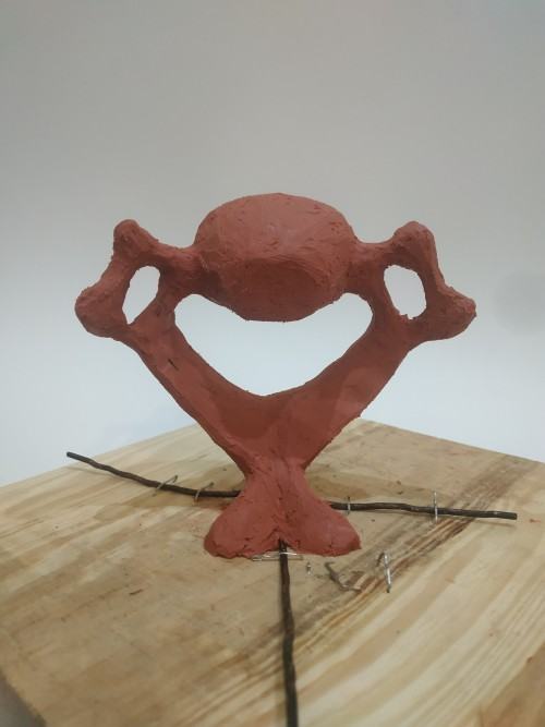 Natalia Stańczak, Fragment anatomiczny - synteza