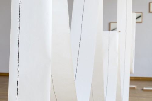 fot. Tomasz Dobiszewski