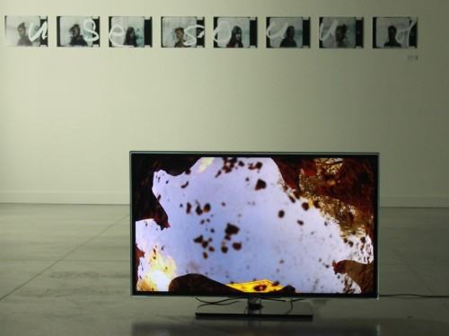 87696232.jpg fot. Aleksandra Bełz-Rajtak