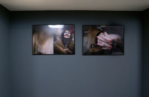 Fotografiia w Zaułku Kaćmy Fotografiia w Zaułku Kaćmy