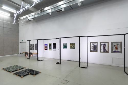 fot. Michał Pietrzak