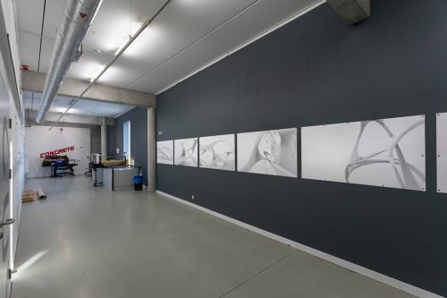 fot. Michał Pietrzak