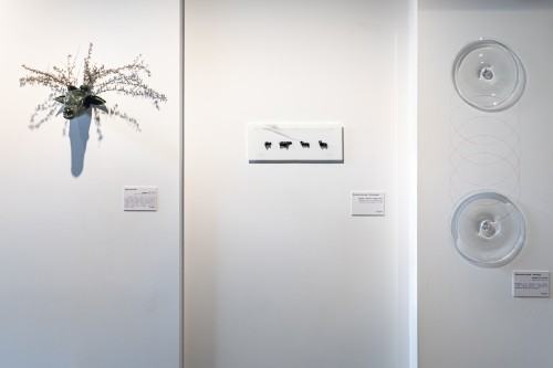 fot. Michał Pietrzak