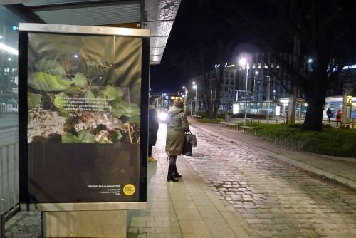 Sympozjum_Wroclawia_fot_Magda_Marek