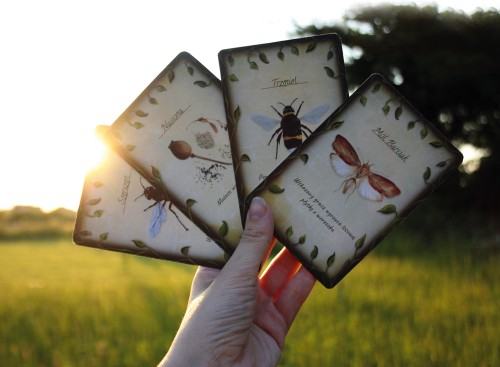 Mara Huńka „Zestaw komunikatów służących popularyzacji wiedzy o pszczołach”