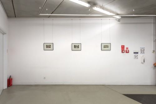 fot. Michał Pietrzak