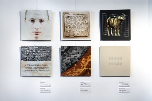 fot. Michał Pietrzak