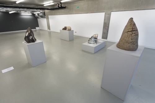 fot. Michał Pietrzak