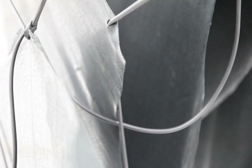 Fotorelacja z wystawy Polska Biała Zwisłoucha vol. II (pbz) Fotorelacja z wystawy Polska Biała Zwisłoucha vol. II (pbz)