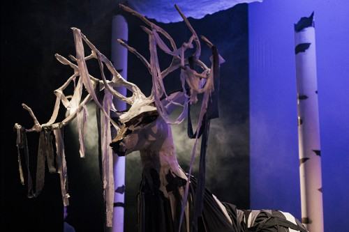 zdjęcia: Piotr Nykowski