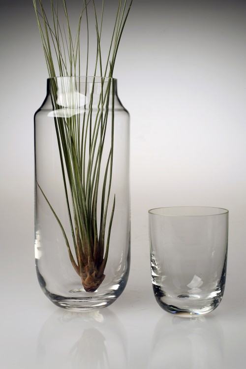 Justyna Żak, Bańki