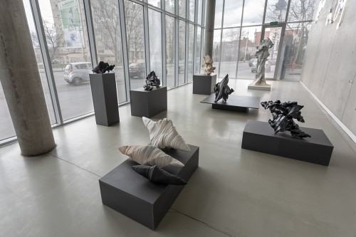 fot. Michał Pietrzak