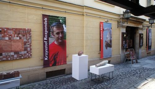 pieczyste5 pieczyste