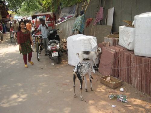 Współczesna Grafika Polska