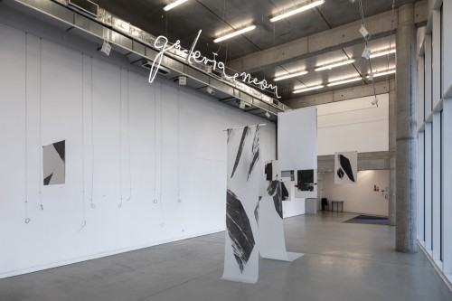 fot. Michał Pietrzak