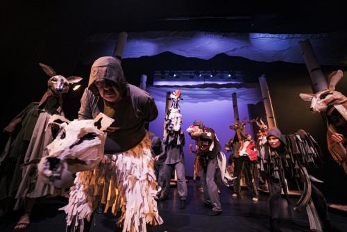 zdjęcia: Piotr Nykowski