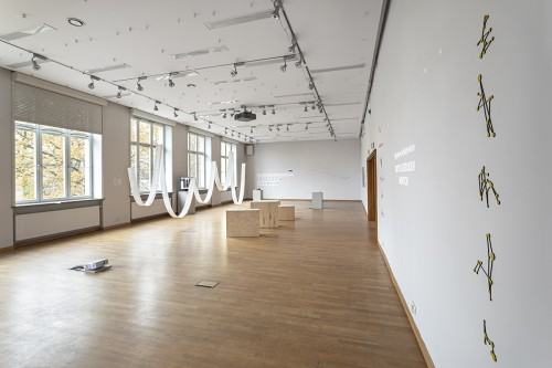 fot. Michał Pietrzak