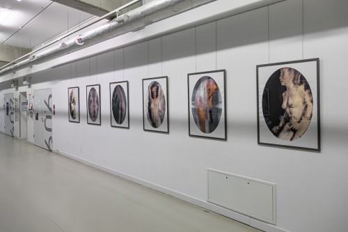 fot. Michał Pietrzak