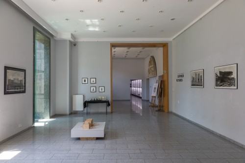 fot. Michał Pietrzak