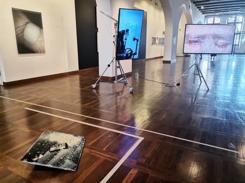 Najlepsze Dyplomy Gdańsk 2021