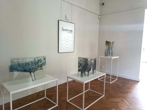 Beata Mak-Sobota „Synchronia – teraźniejszość i retrospekcja"